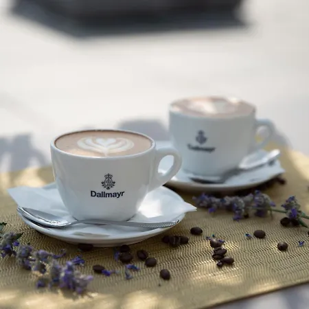 ホテル Akademia バラトンフレド